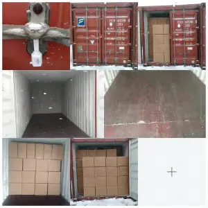 container loading honorliving glass